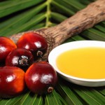 روغن پالم