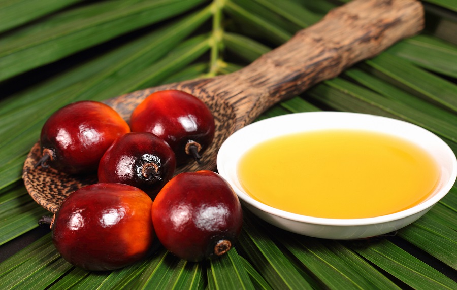 روغن پالم